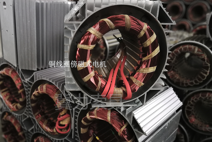 電動(dòng)提升機(jī)的電機(jī)零件