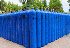 全自動(dòng)永磁起重器用于氧氣鋼